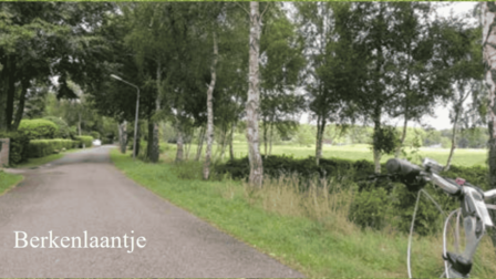 Een asfvaltweg genaam Het Berkenlaantje, met aan de rechterkant een rij bomen en weiland.