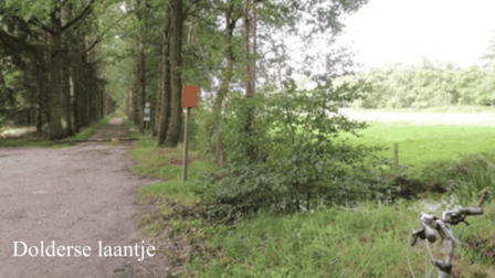 Links het Dolderselaantje en rechts een perceel met grasland, samen vormen die het noordelijkste deel van de gemeente Zeist.