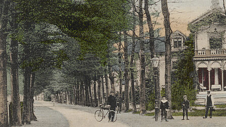 Kinderen staan op de Woudenbergseweg in 1900 met aan weerszijden veel bomen